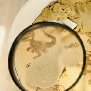 Kiddi PlayPlate Dino