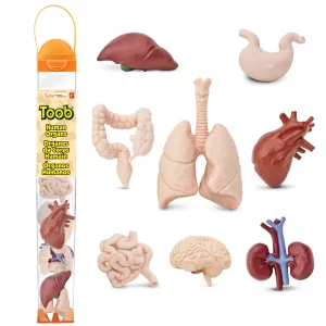 Safari Ltd Organen Toob