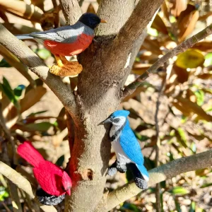 Safari Ltd Vogels