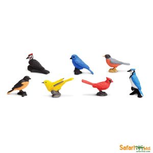 Safari Ltd Vogels Toob