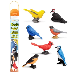 Safari Ltd Vogels Toob