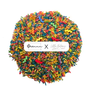Grennn speelschepje 'Wave' Regenboog kleuren