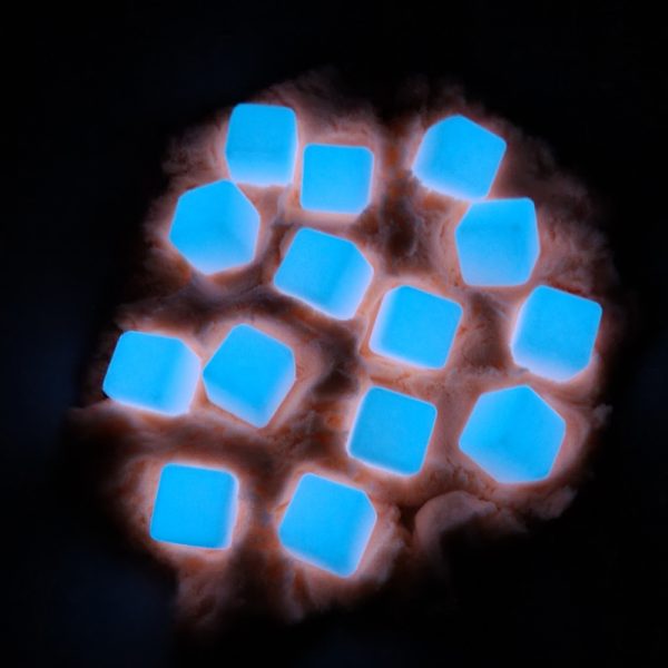 Kiddi Glow in the Dark blokjes in het donker