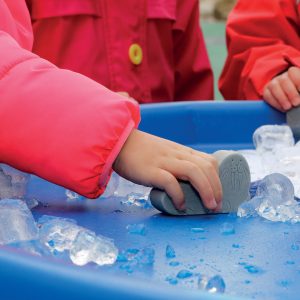 Spel met Yellow Door Speelstenen – Pooldieren