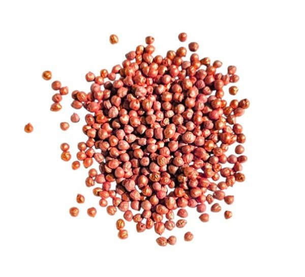 Kikkererwten Oranje