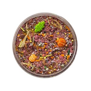 SensoryFizz PumpkinSpice van SensoryFun