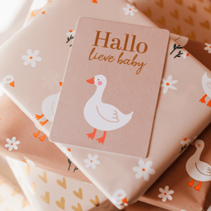 Cadeaukaartje - Hallo lieve baby