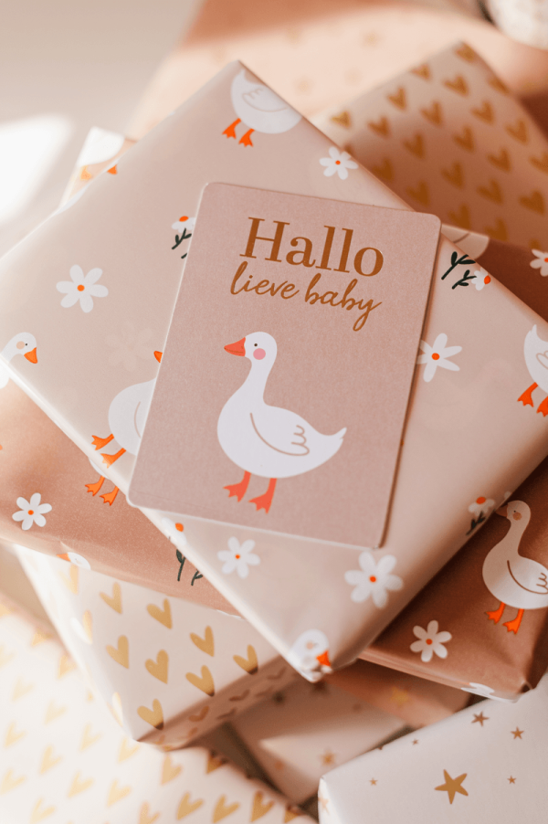 Cadeaukaartje - Hallo lieve baby