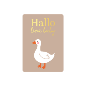 Cadeaukaartje - Hallo lieve baby