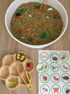Sensorische speelbak insecten