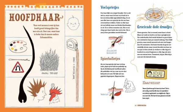 Van tong tot teen binnenkant