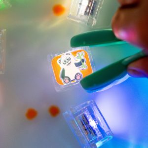 Glo Pals lichtgevende blokjes - dierentuin