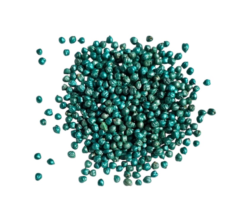 Kikkererwten Donkergroen 3 Kikkererwten Donkergroen