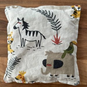 photo 2026 01 22 12 15 53