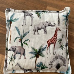 photo 2026 01 22 12 16 00