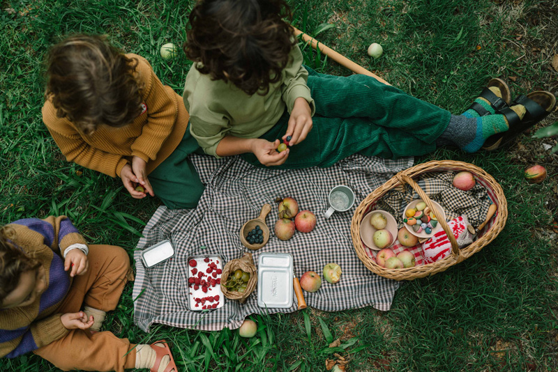 Grapat houten Fruit 6 Grapat houten Fruit
