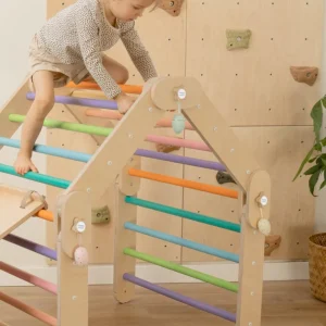 Multifunctioneel houten klimrek kleurrijk