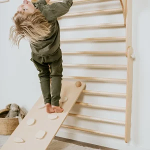 Verstelbare 2-in-1 Klimdriehoek / Klimwand