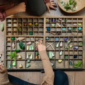 Grapat Houten Bomen 8 Grapat Houten Bomen