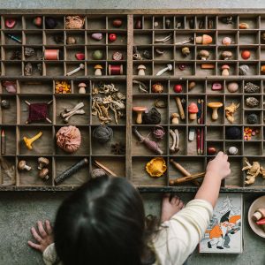 Grapat Houten Paddenstoelen 9 Grapat Houten Paddenstoelen