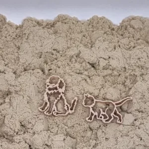 Grennn kat en hond uitsteker in zand